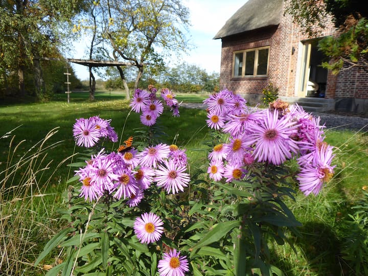 Erholung Auf Dem Land Zwischen Ostsee Und Schlei Houses For Rent In Stoltebull Schleswig Holstein Germany