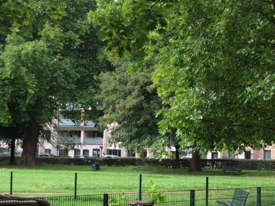 View from the Park to our building