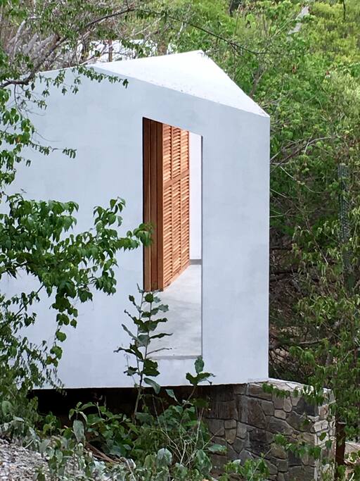 The Window