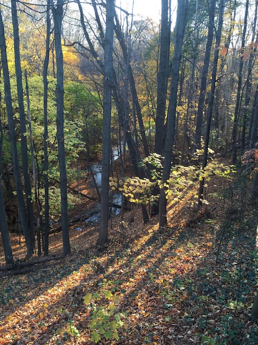 View of Buttermilk Creek from our deck.