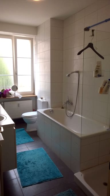 bathroom with bath and shower, I provide towels for you