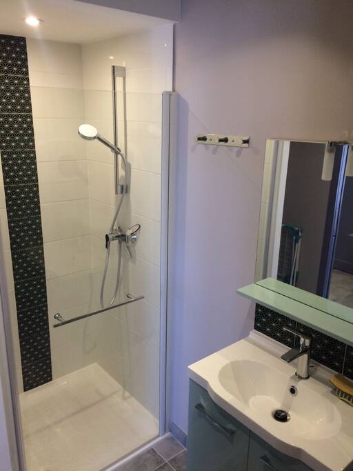 La salle d‘eau avec douche et toilette