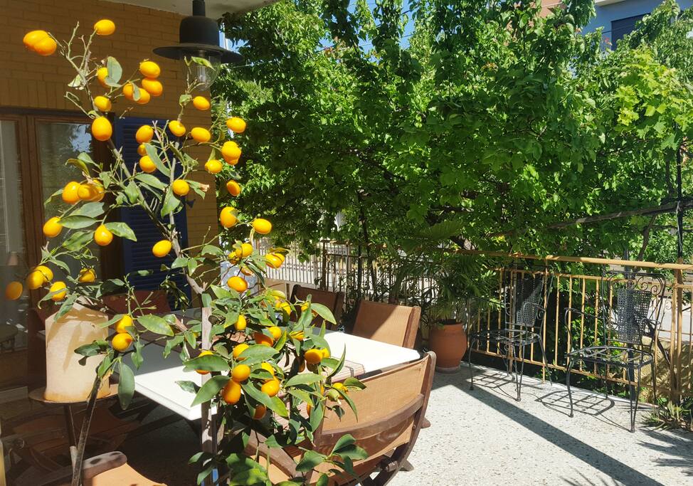 Terrasse front