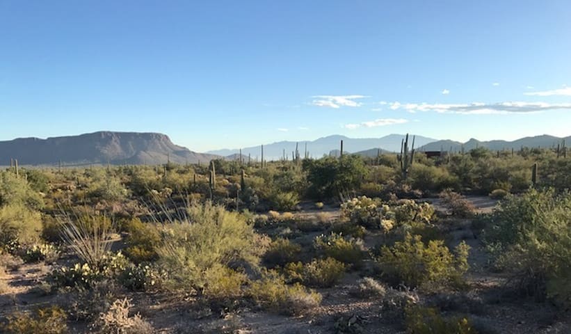 Room with a view