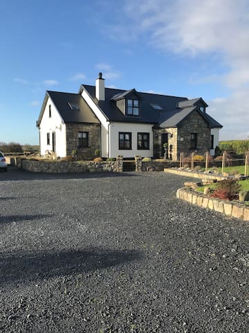 Gaoth na saileach 2