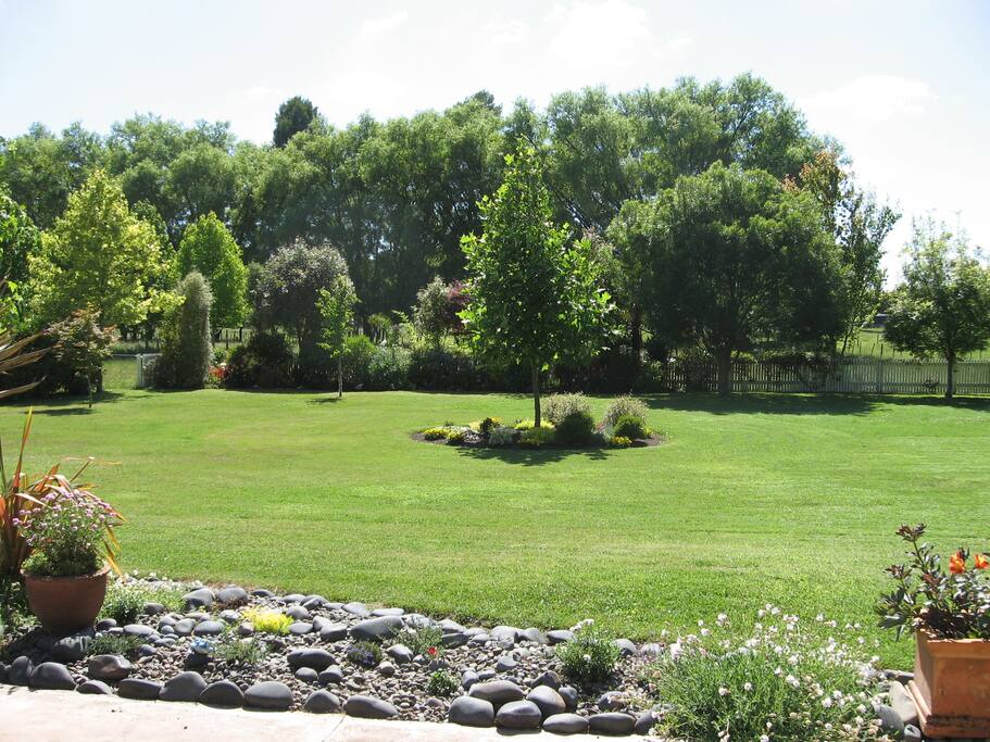 My garden