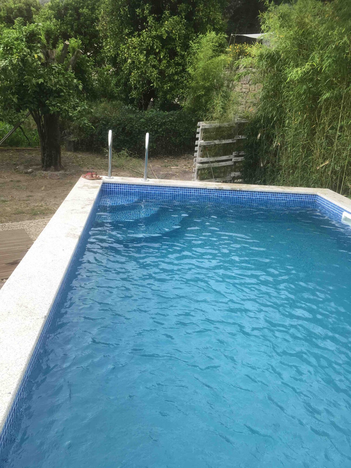 A private swimming pool is displayed, featuring clear, inviting water and a smooth stone surround. Lush greenery is visible in the background, including bamboo and trees, contributing to a serene atmosphere. Sturdy pool steps lead into the water, enhancing access and usability.