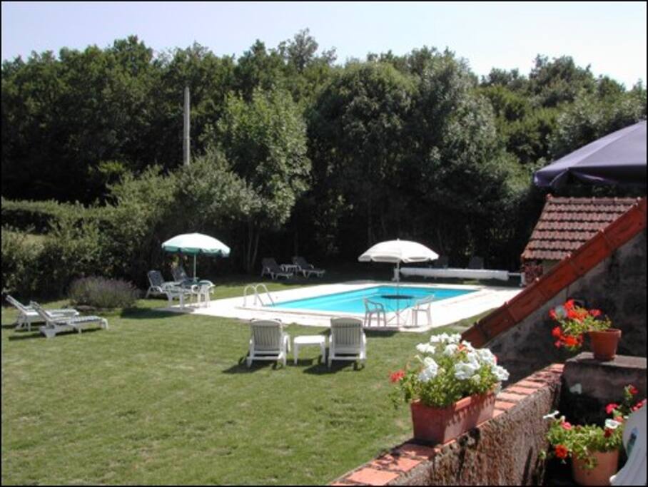POOL FROM TERRACE