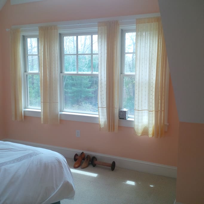 Bedroom Window
