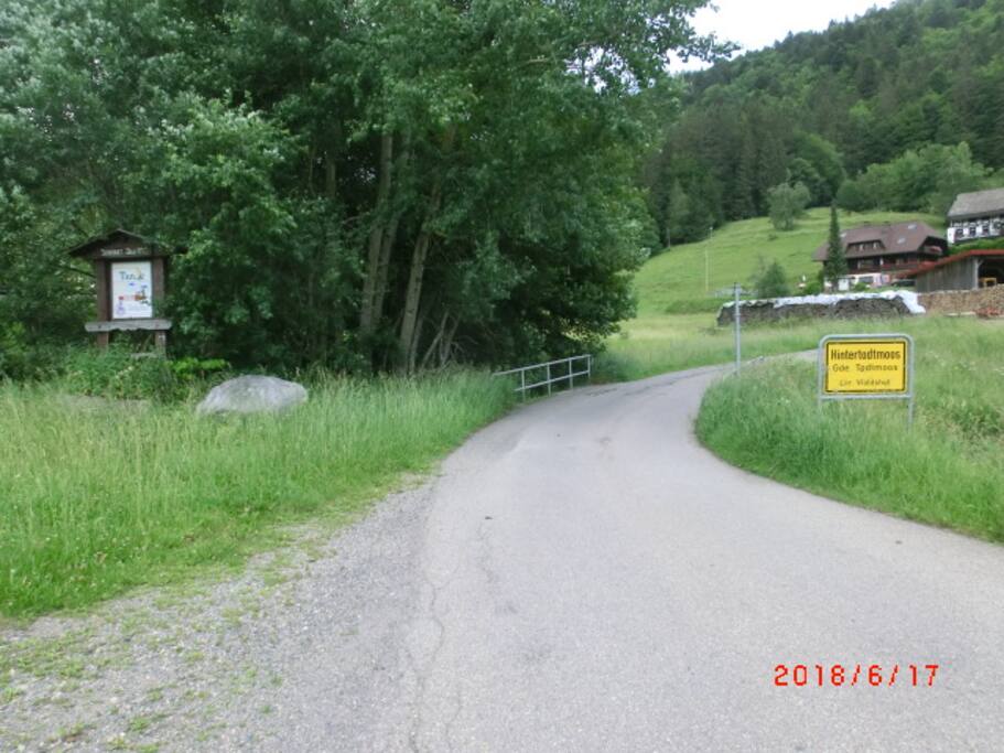 Hintertodtmoos