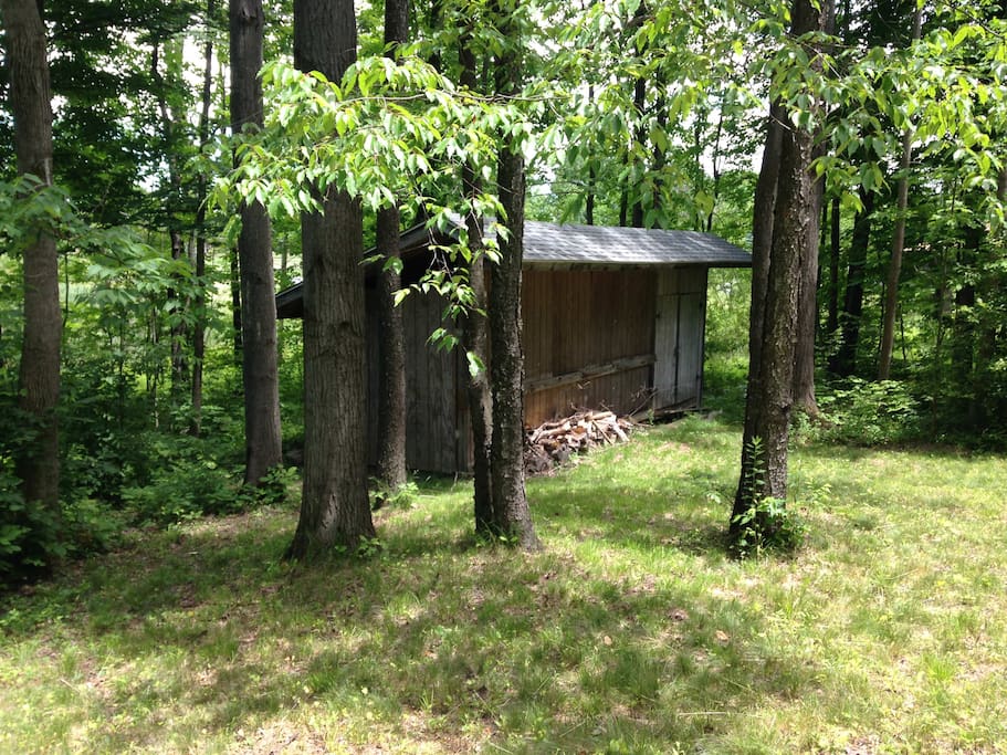 very large wooded lot