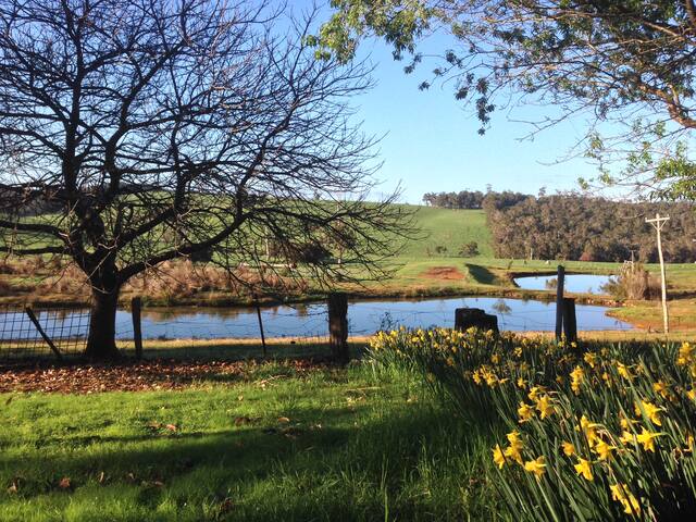 Chestnut Cottage gallery image 3