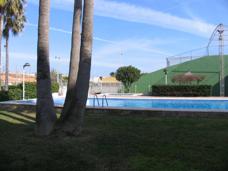 Gran Piscina para adultos y piscina infantil, rodeada de césped y palmeras. 2 frontones y pista de tenis