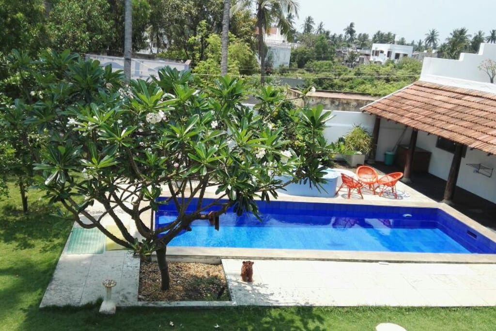 Swiming pool