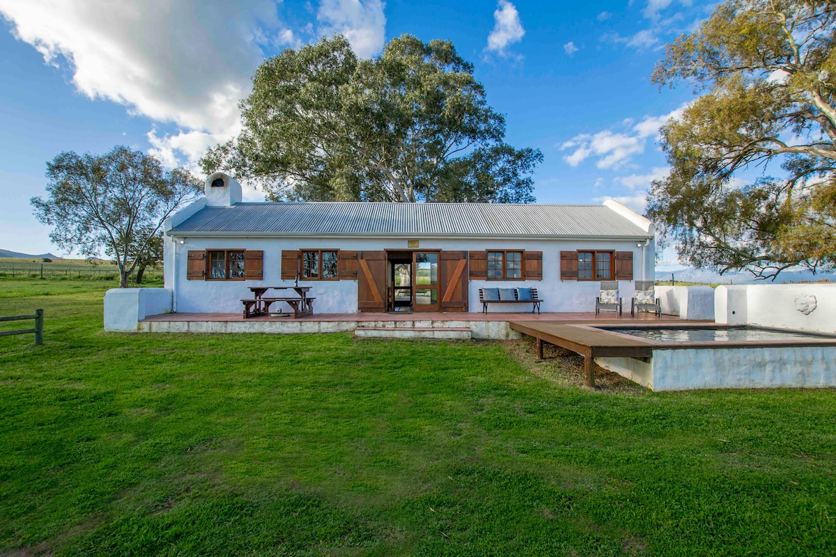 A charming cottage with a light blue exterior and a metal roof is surrounded by green grass and trees. Outdoor seating is provided on a wooden deck, and a plunge pool is visible to the side. Large windows allow natural light into the interior space.
