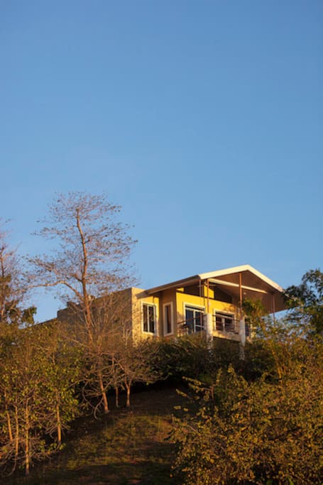 House View