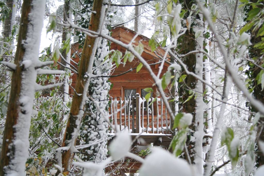 La Cabane Du Chevrotin Tradhus Att Hyra I Bellevaux Auvergne Rhone Alpes Frankrike La Cabane Du Chevrotin Tradhus Att Hyra I Bellevaux Auvergne Rhone Alpes Frankrike