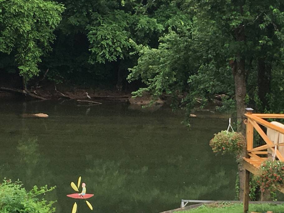 Do you see what I see? Above the kayak paddler in the yard, you will find a heron on a log in the river. The neighbors report seeing two of them this year, along with a beaver. Wild, wonderful WV.