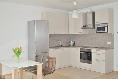 Luxury studio in central residence