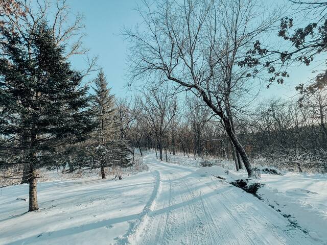 Twin Cities Oasis★Pool★Sauna ★7Beds 5Acres★Firepit gallery image 5