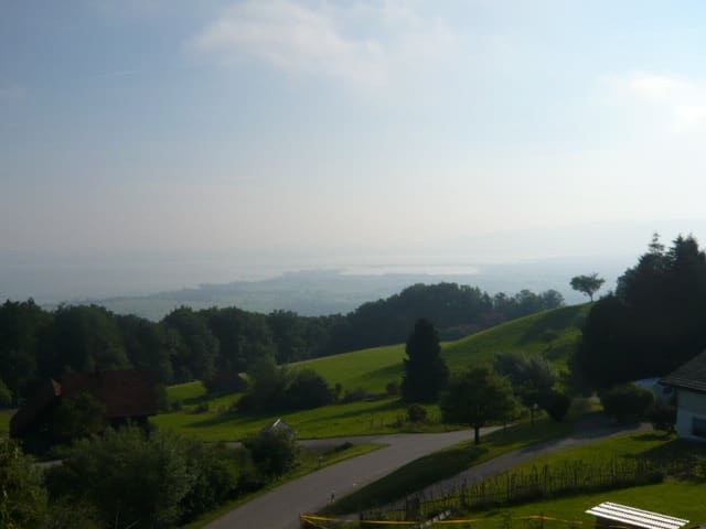Dachzimmer mit Blick auf Bodensee