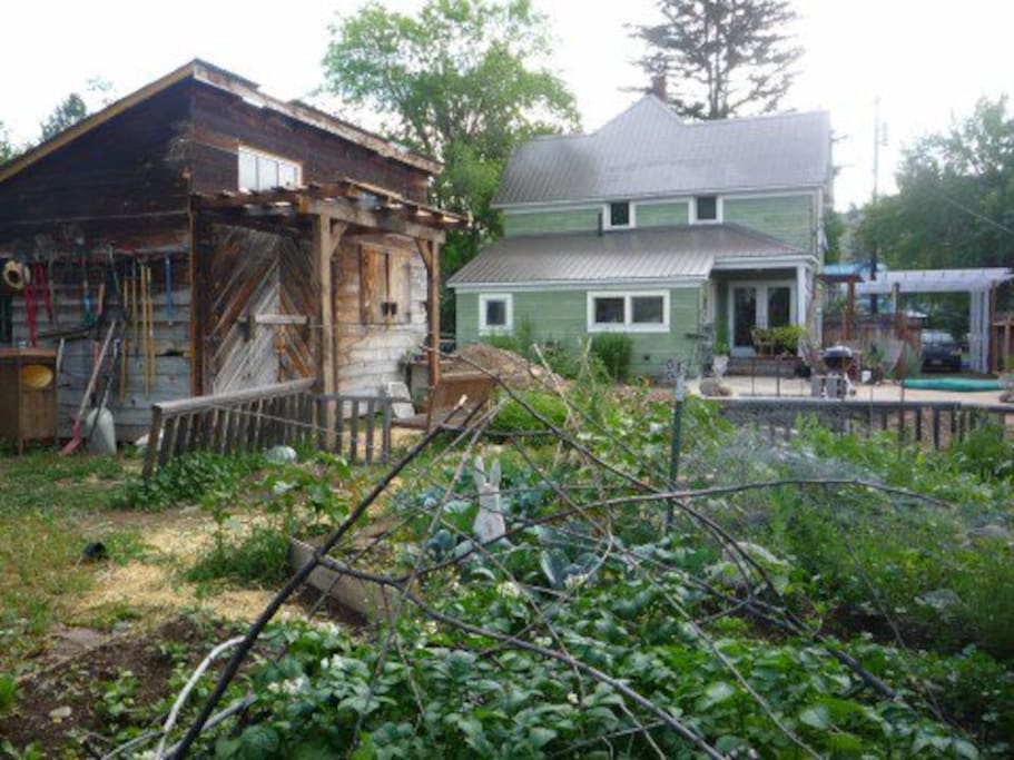 Back yard garden - it will look different in different seasons.