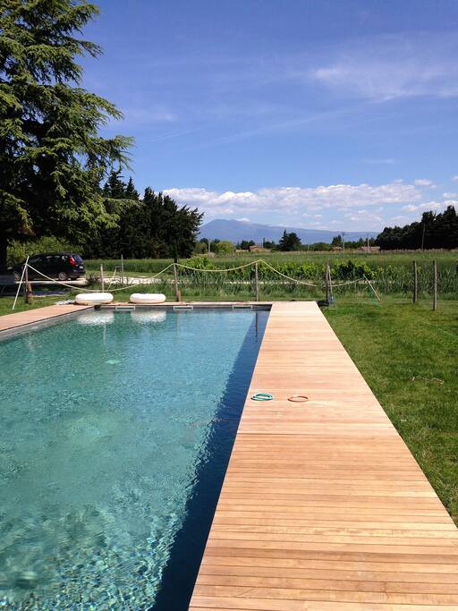 La piscine (15m/5m) avec vue sur le mont Ventoux