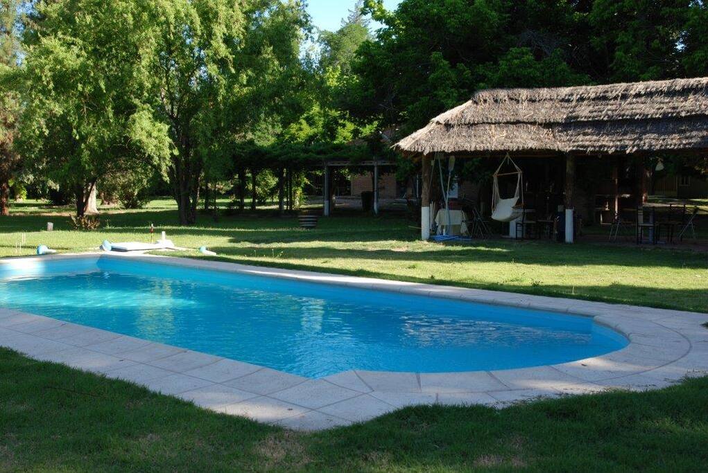 Swim and have an Asado