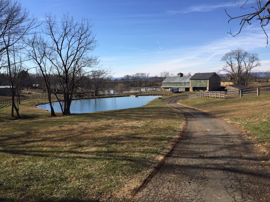 View of ponds and stables from front porch.