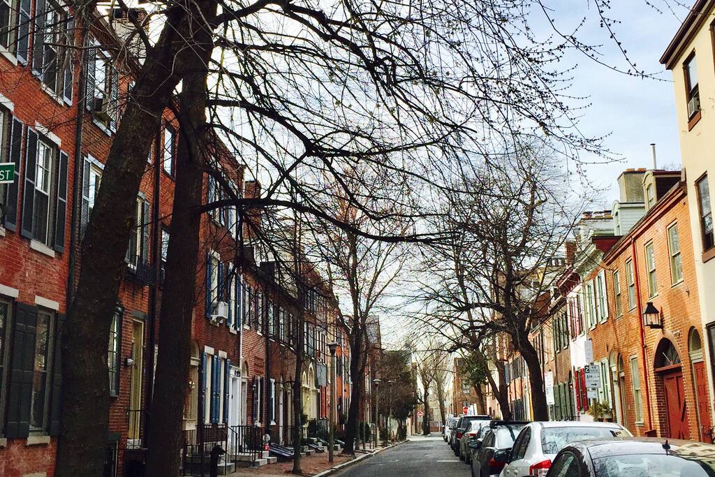 Gorgeous Tree-Lined Center City Side-Street.
