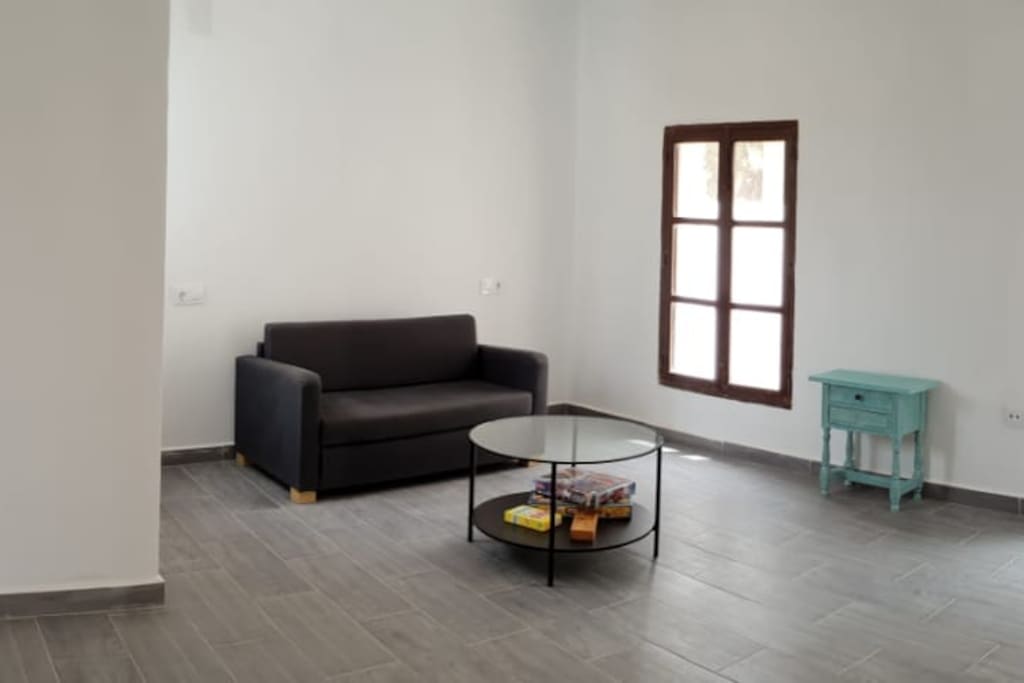Habitacion diafana con sofa cama , con salida a una terraza