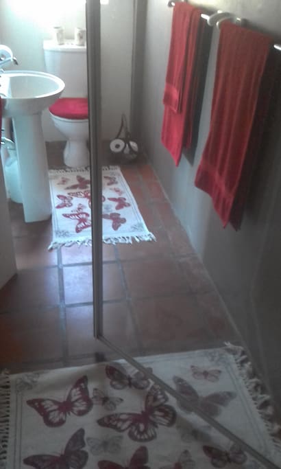 Shower.toilet.washbasin.