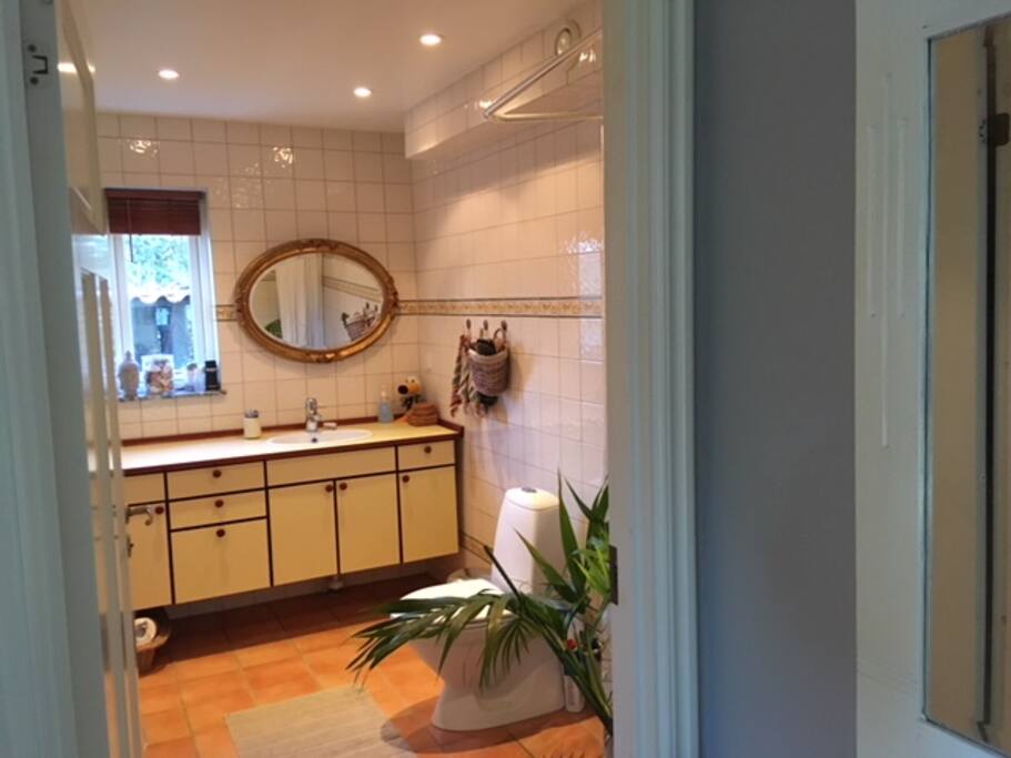 bathroom downstairs