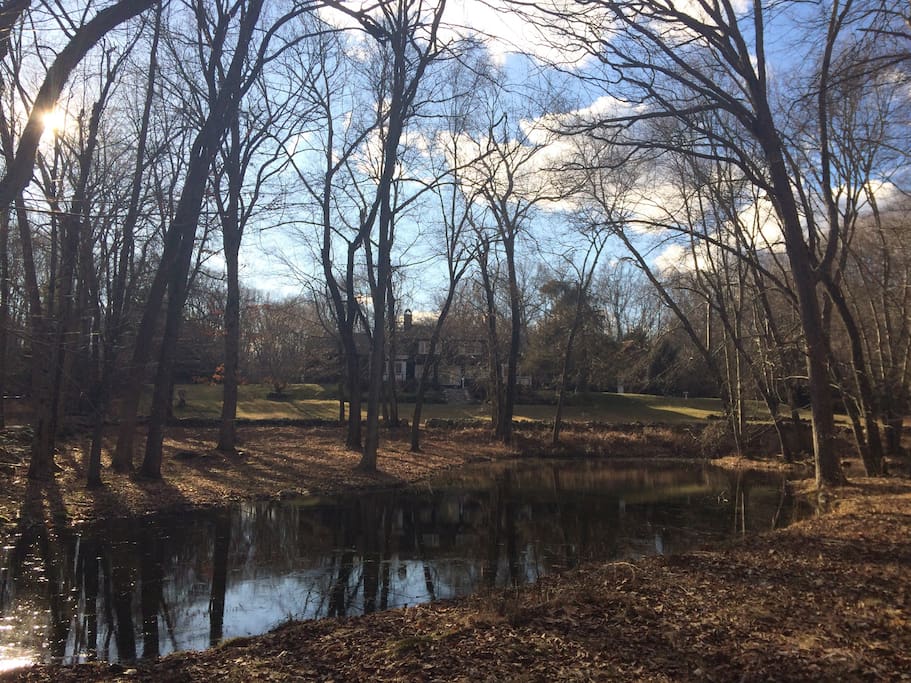 View of the back of the house from the walking trails near the pond.