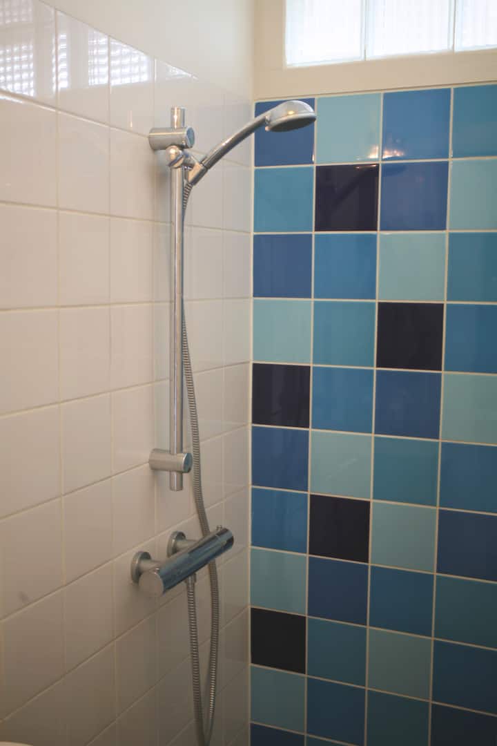 Casa Vrolik, Amsterdam, Oosterparkbuurt BnB 2pp.