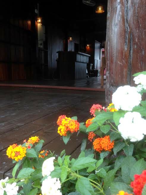 A view is provided from a flower-filled foreground showcasing vibrant orange and white blooming plants. The background features a wooden interior with a bar area and dark wooden walls, creating a rustic ambiance.