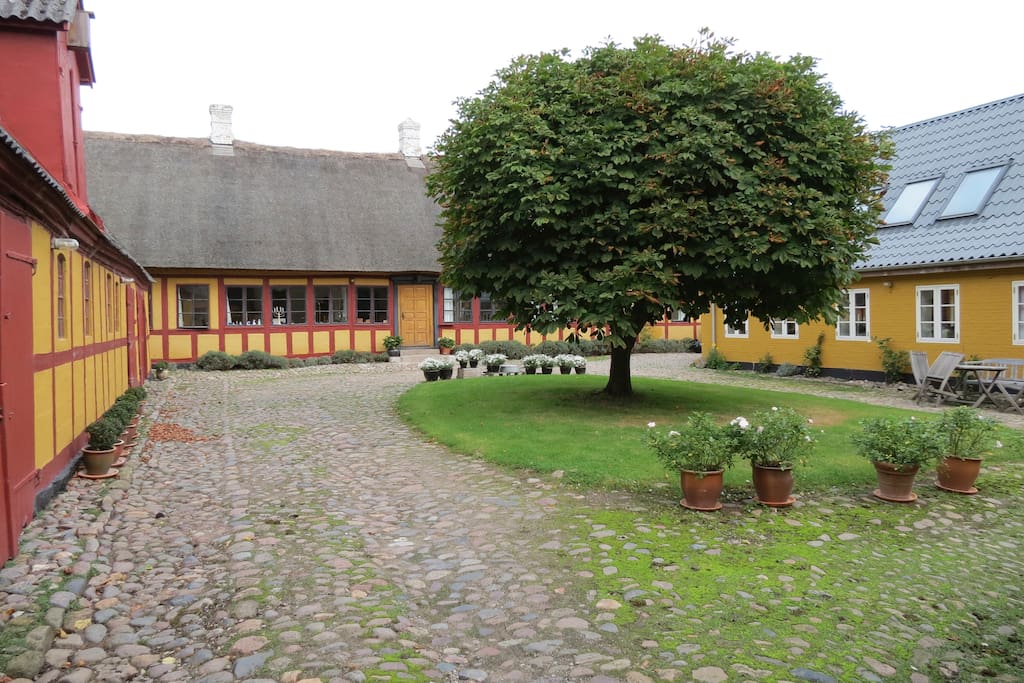 The courtyard