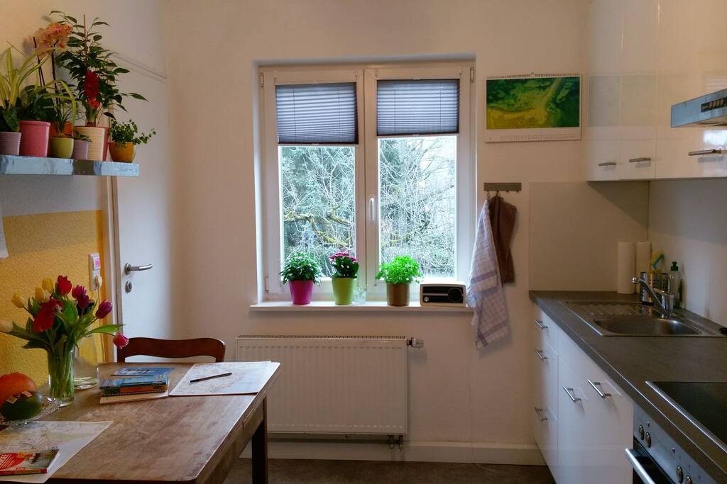 Blick in die Küche