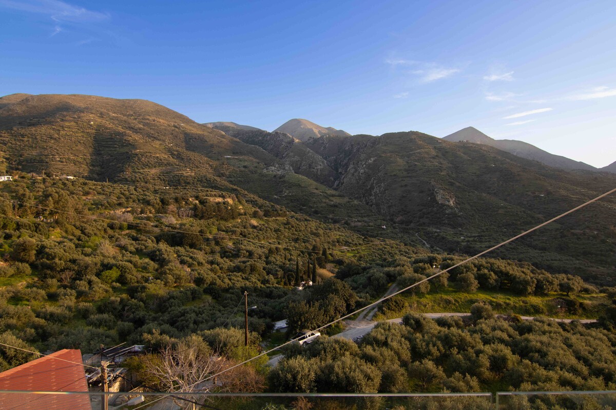 A panoramic view of lush green mountains is presented, with gentle slopes and olive groves sprawling below. The landscape is bathed in soft afternoon light, showcasing the natural beauty of the rural Crete countryside.