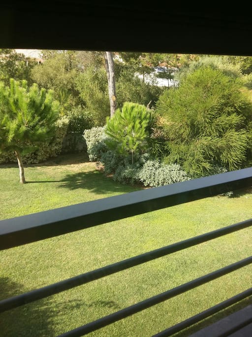 jardim junto à piscina e à churrasqueira