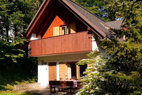Spacious family chalet 200m from Lake Bohinj