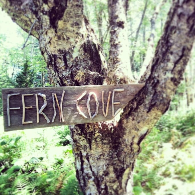 Fern Cove