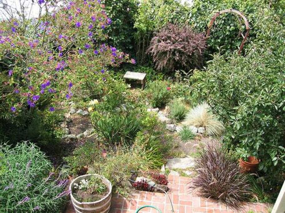 The garden in the back
