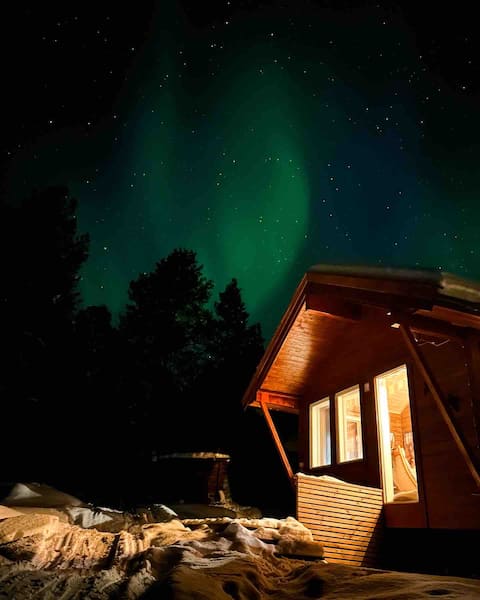 Cozy cabin in Pasvikdalen with sauna