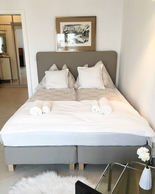 Bedroom/Living Room