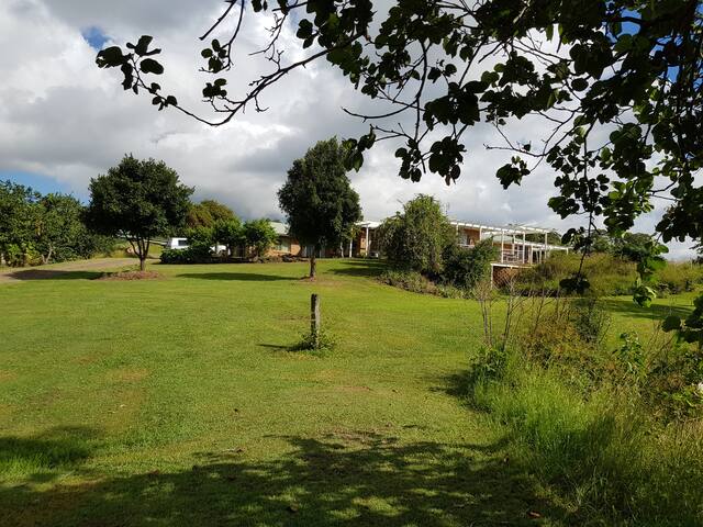 BROARDWOOD SAWMILL UP THE CK AT BINGEE