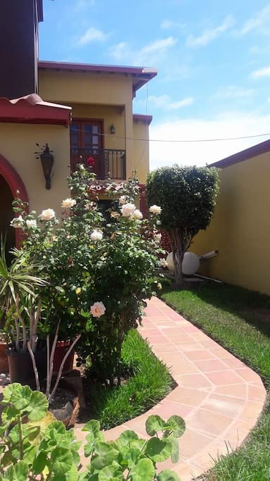 Front garden.