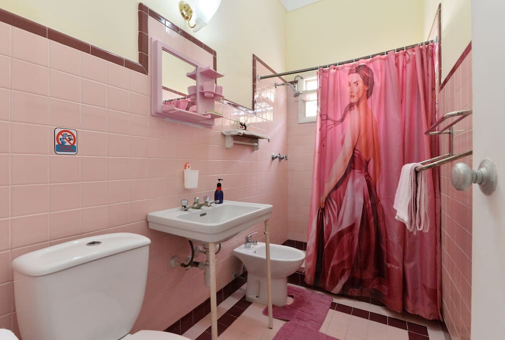 Baño dormitorio Rosado
