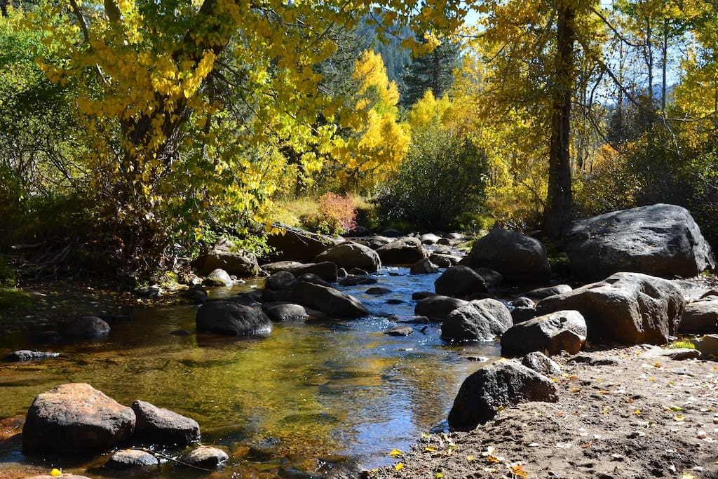 in October, the creek in the back of the house