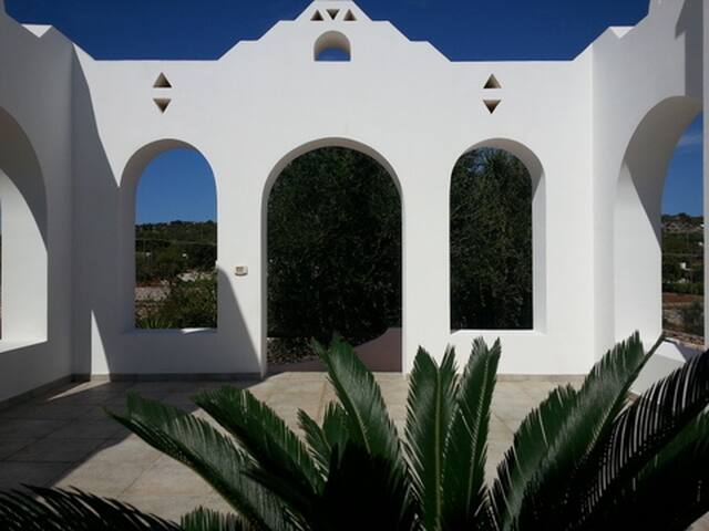 Villa Badessa, placed in a century-old olive grove gallery image 2